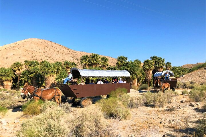 Covered Wagon Adventure & BBQ - Photo 1 of 10